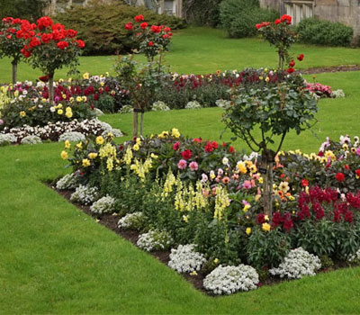 Garden Care