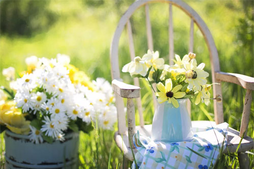 Seasonal Planting