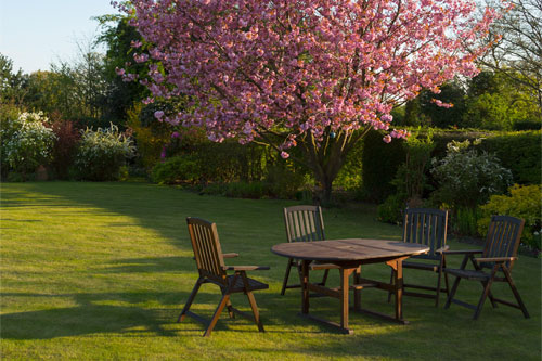 Garden Refresh