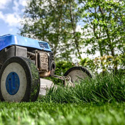 Lawn Care